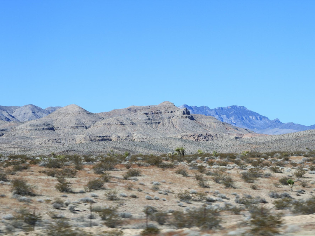 Mojave Trail-莫哈韦必去景点