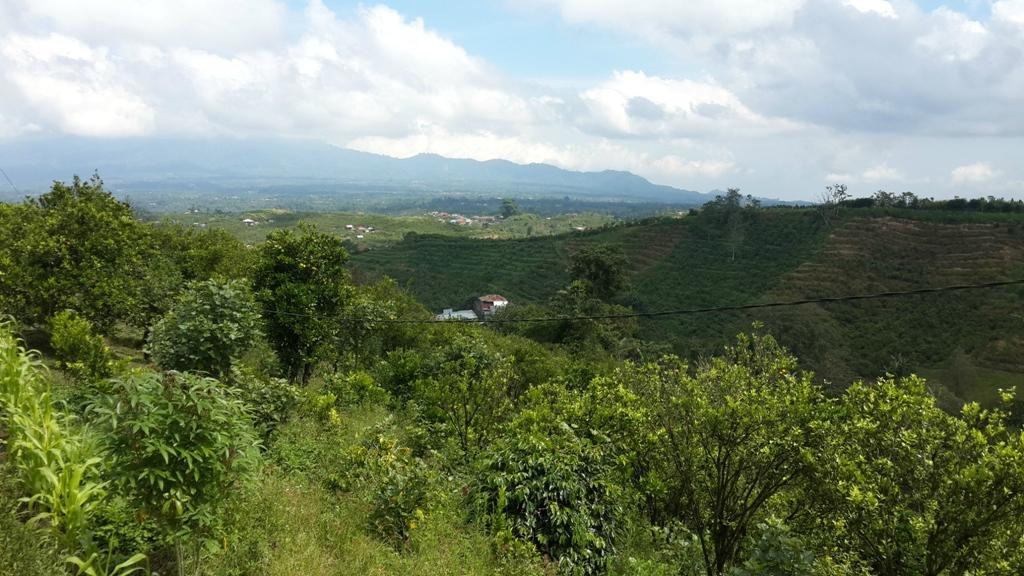 Bali Hideaway Bike-佩艳艮必去景点