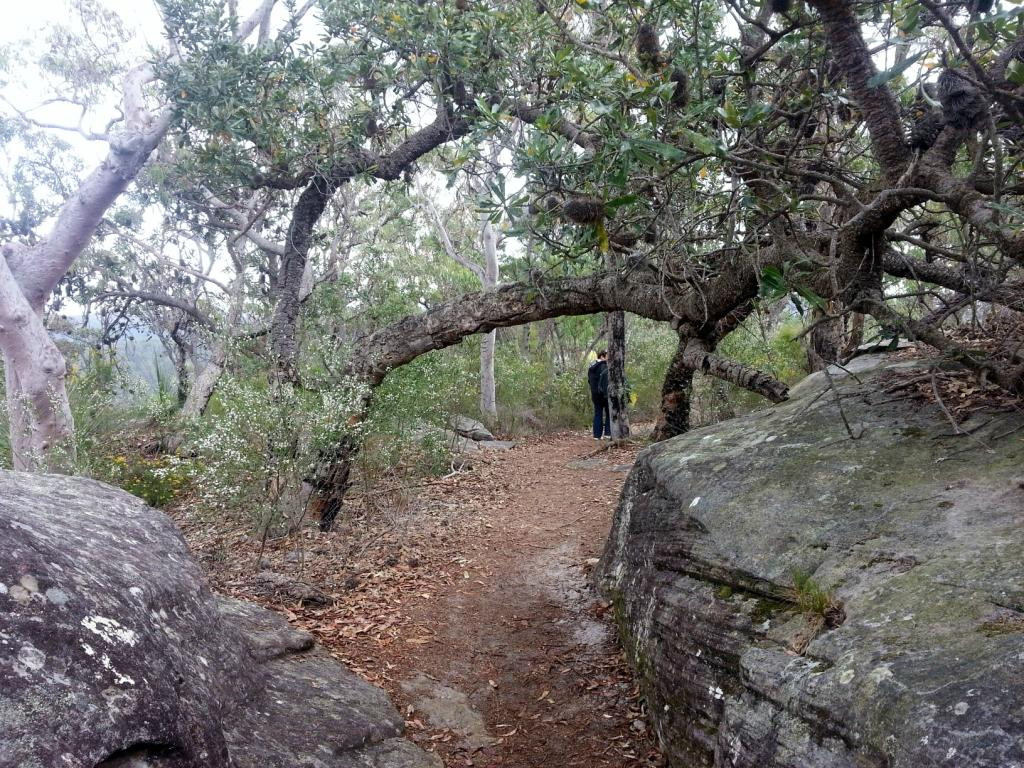 Muogamarra Nature Reserve景点图片