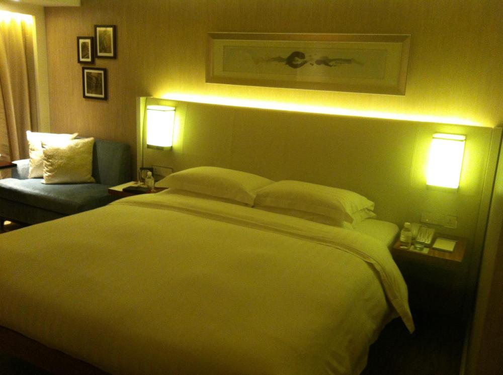 北京东方君悦大酒店-客卧