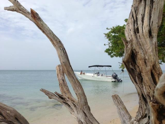 Salty Tours Tobago-Mount Irvine必去景点