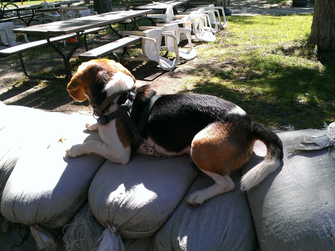 Auer Family Boathouse-伯灵顿必去景点