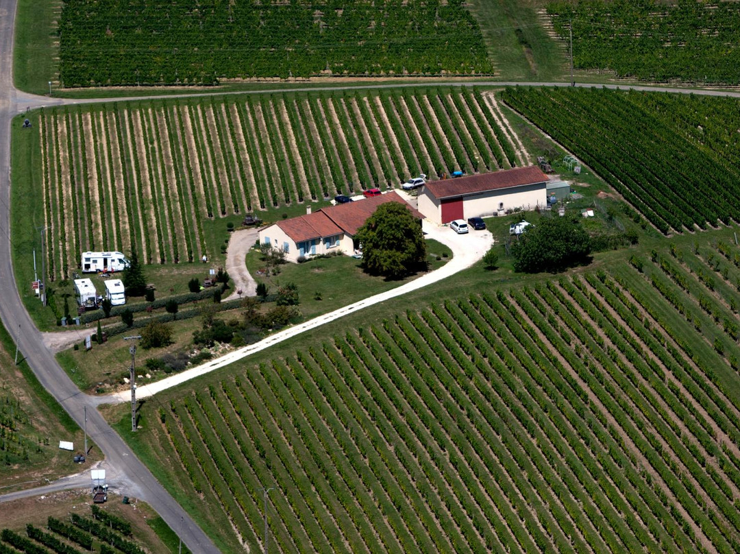 Chateau du Haut Pezaud景点图片