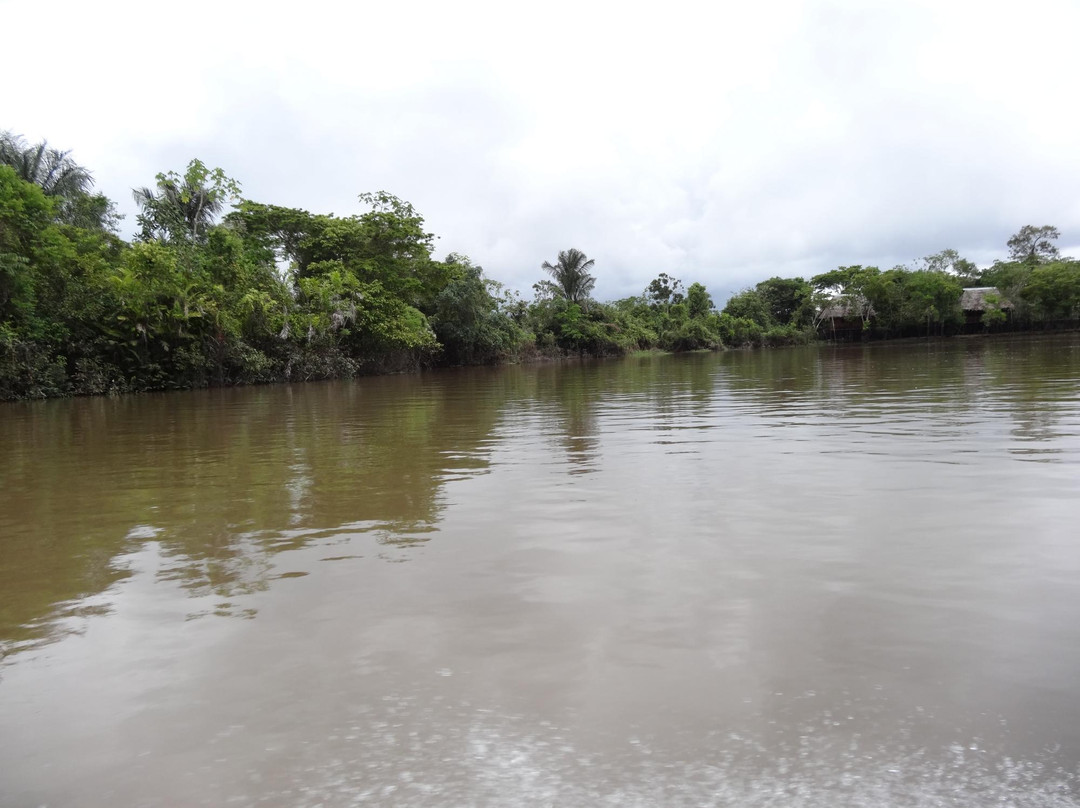 Tangarana  Ecolodge主图