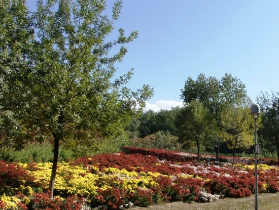 奥林匹克森林公园-北京市必去景点