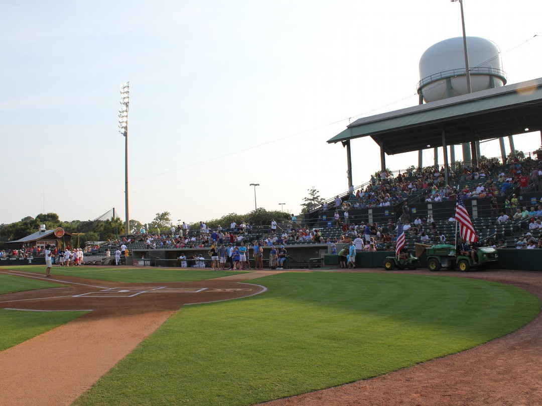 Myrtle Beach Pelicans-美特尔海滩必去景点