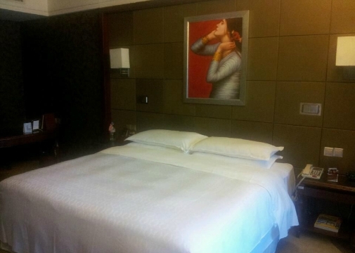 深圳大中华喜来登酒店-客卧