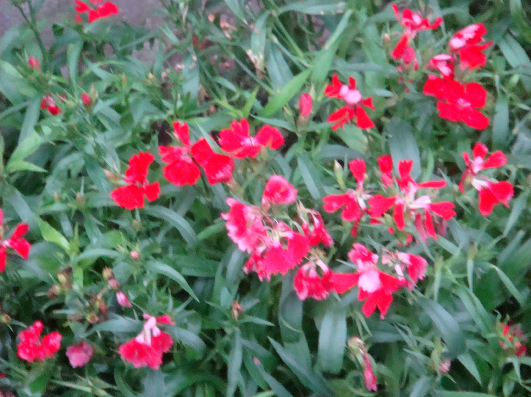 海口人民公园-海口市必去景点