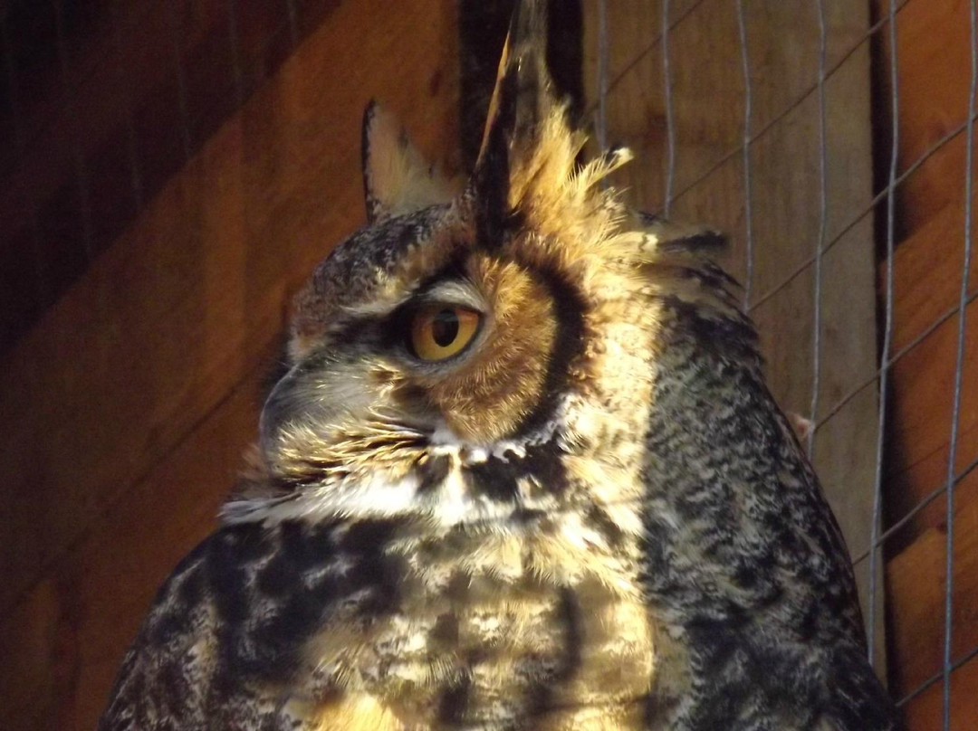 The Wolds Way Owl Trust-South Cave必去景点