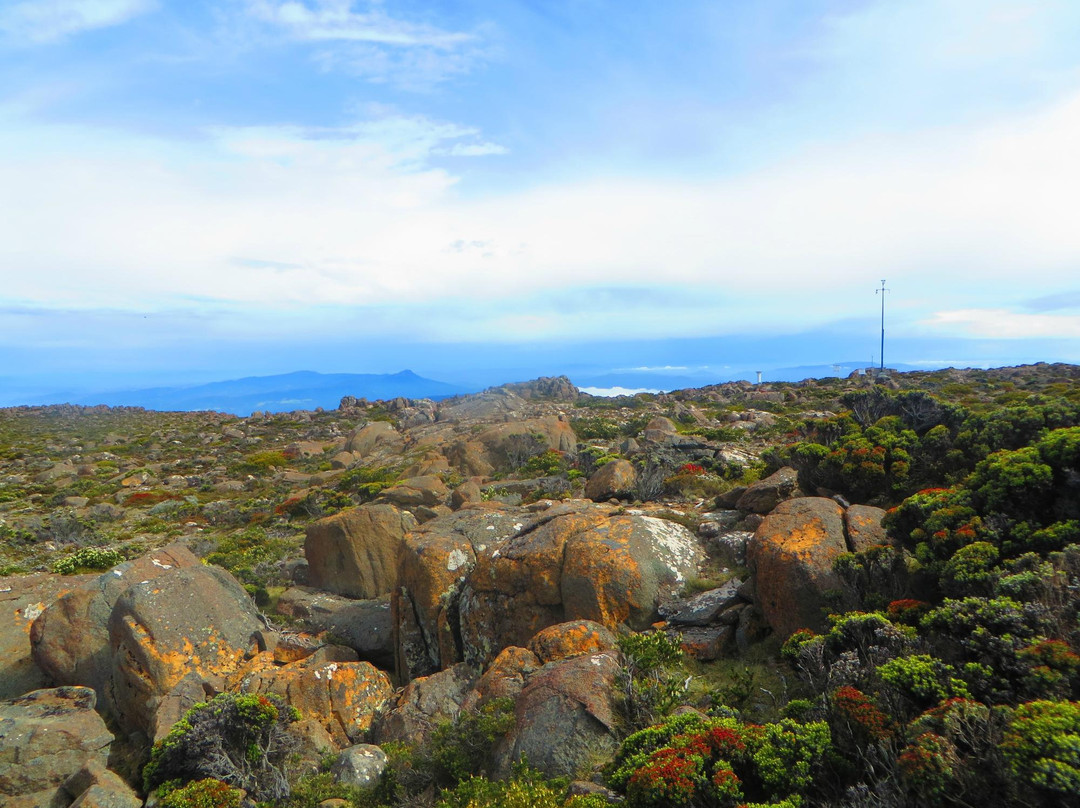 威灵顿山-霍巴特必去景点