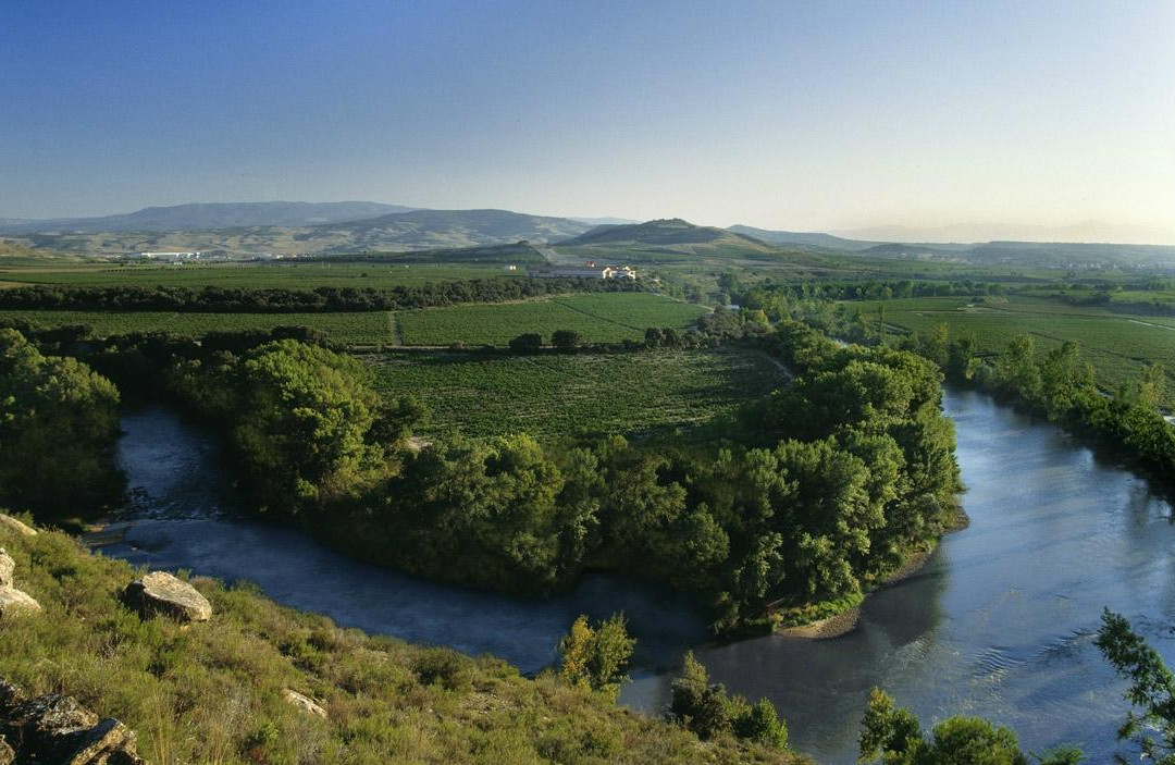 Bodega Finca Valpiedra景点图片