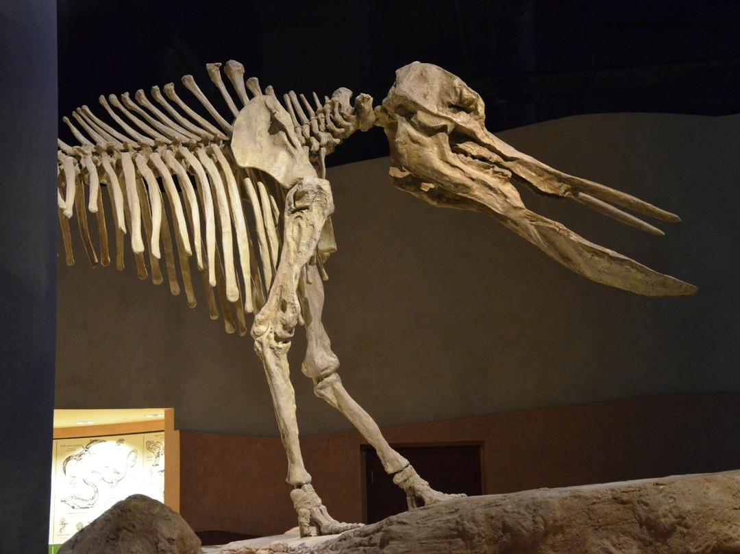 King Abdulaziz Historical Center-利雅德必去景点