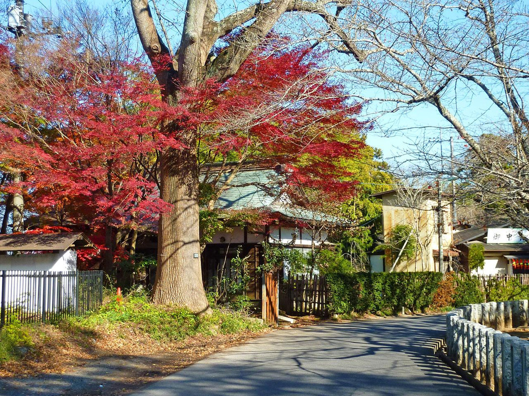 成田公园-成田市必去景点