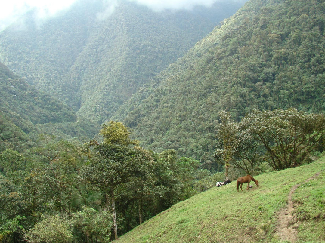 Tambo Tanda-基多必去景点