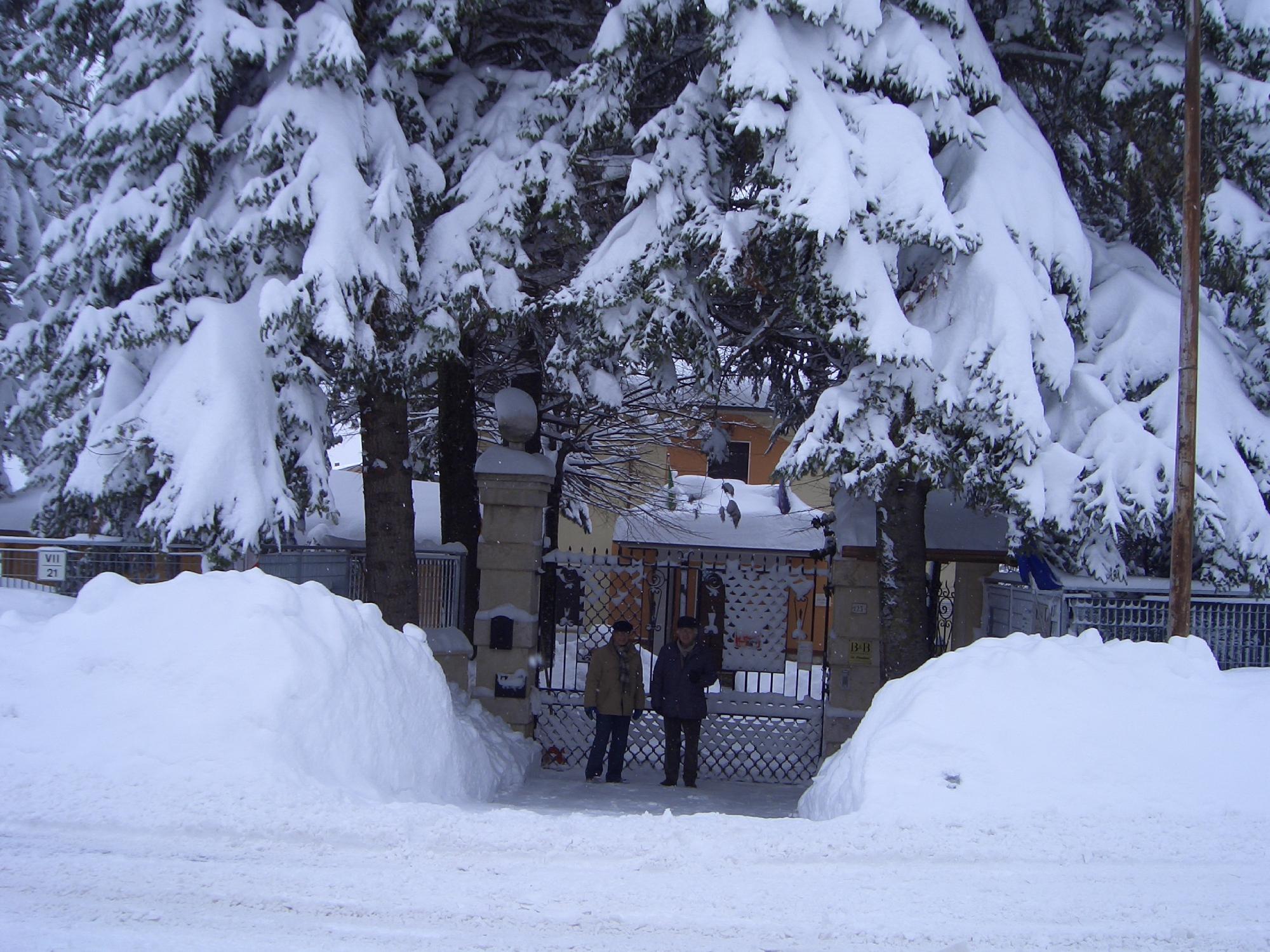 La Pinetina B&B-客卧