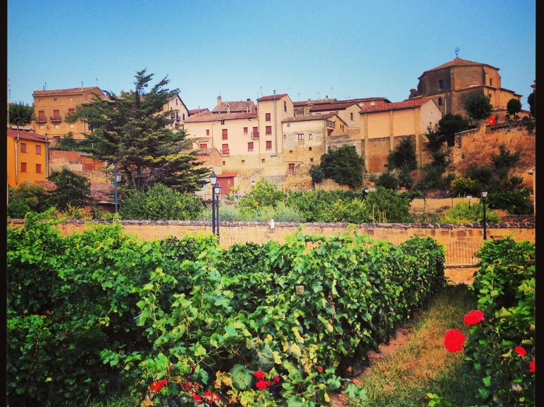 Miguel Merino Winery景点图片