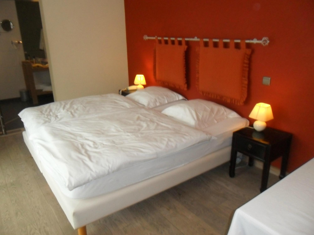 Hotel Lemonnier主图