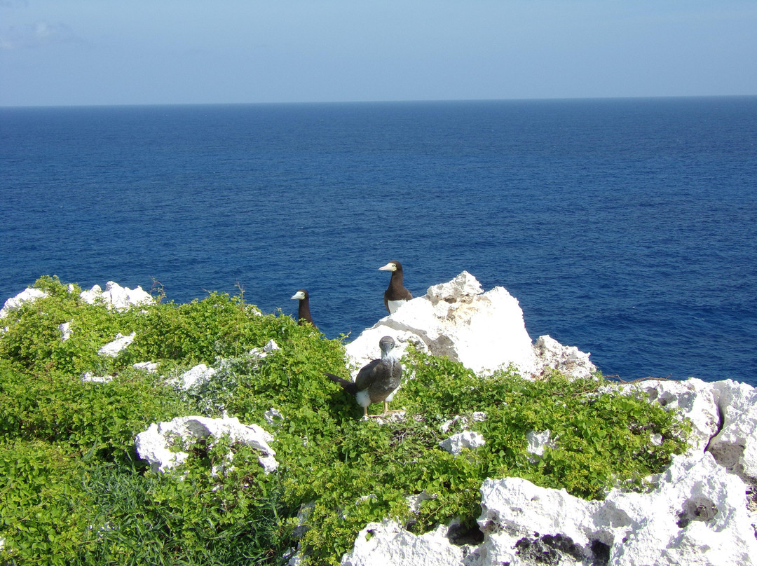 The Bluff-Cayman Brac必去景点
