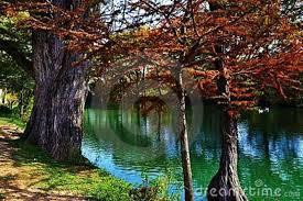 Medina River-Medina必去景点