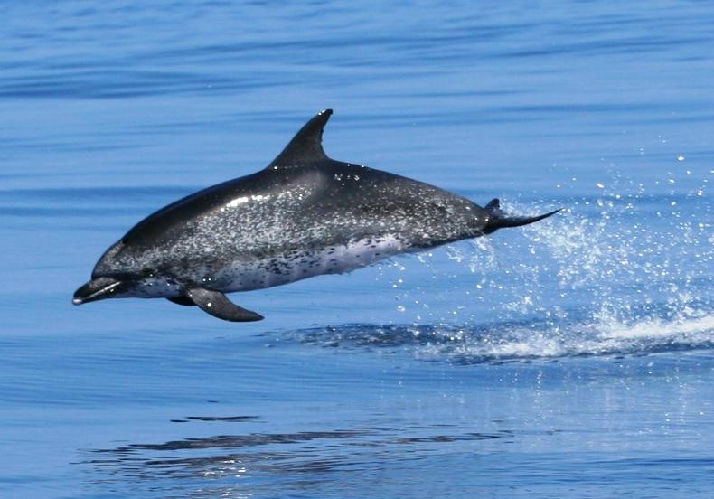 Picos de Aventura-蓬塔德尔加达必去景点