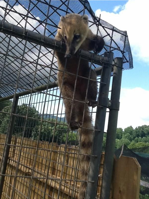 Creation Kingdom Zoo-Gate City必去景点