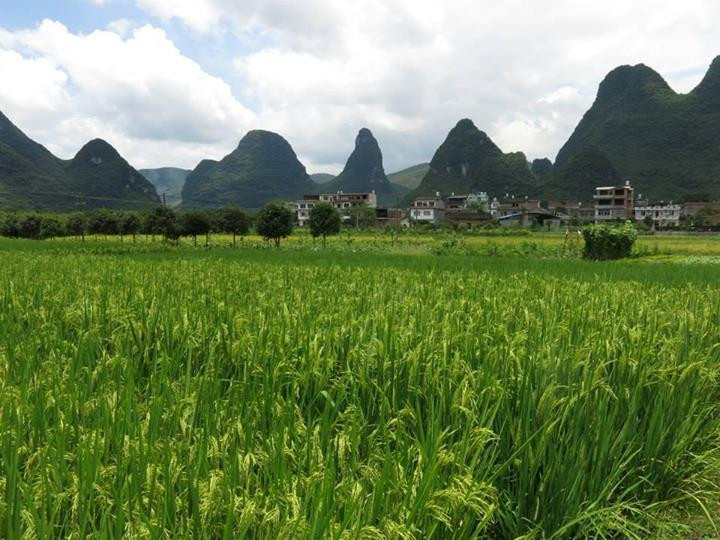 遇龙河-阳朔县必去景点