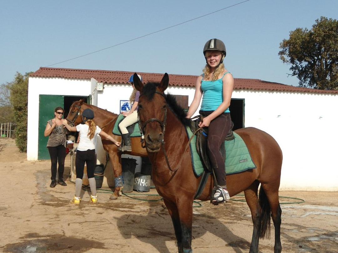 QPA Horse Riding Centre景点图片