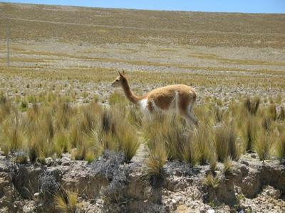 Andex Adventure-利马必去景点