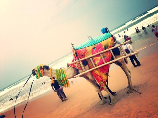 Puri Beach-普里必去景点