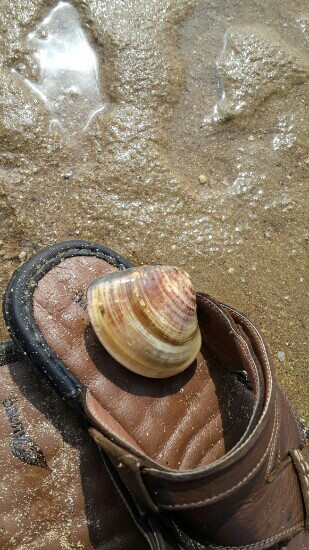 角尾珊瑚保护区-徐闻县必去景点