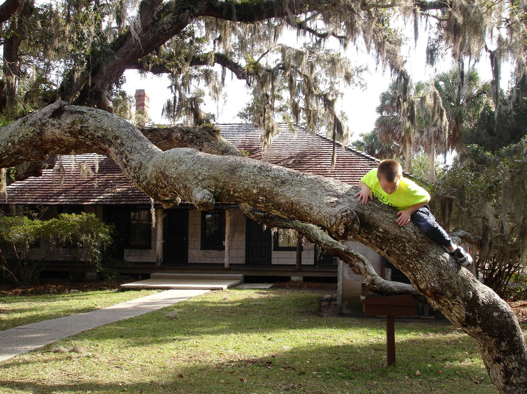Princess Place Preserve-棕榈海岸必去景点