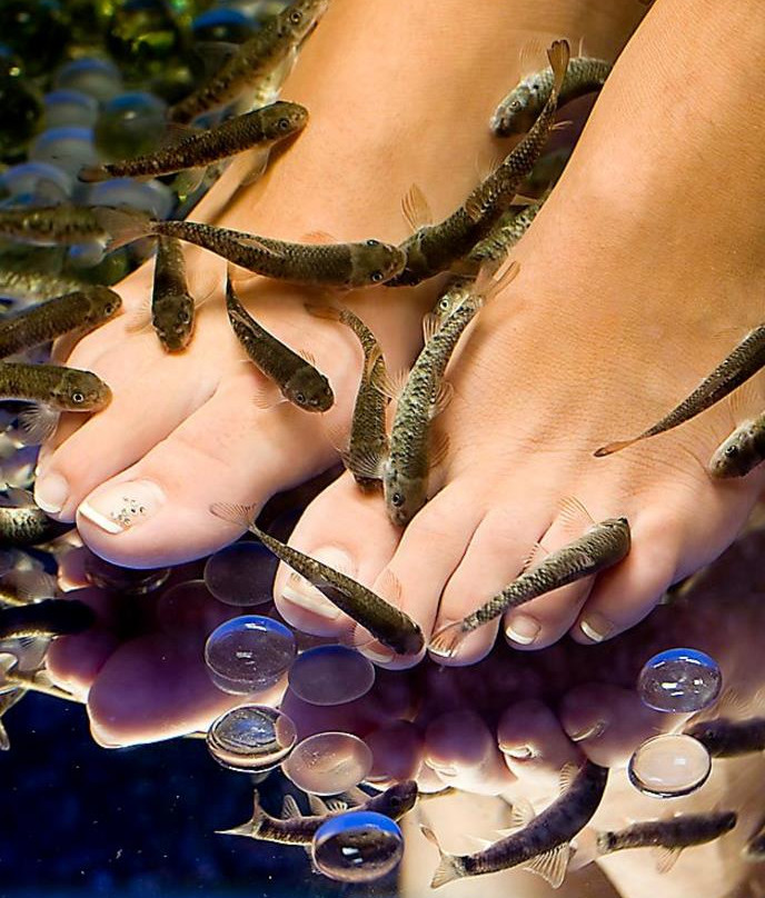 Logaras旅游景点-Paros Fish Spa