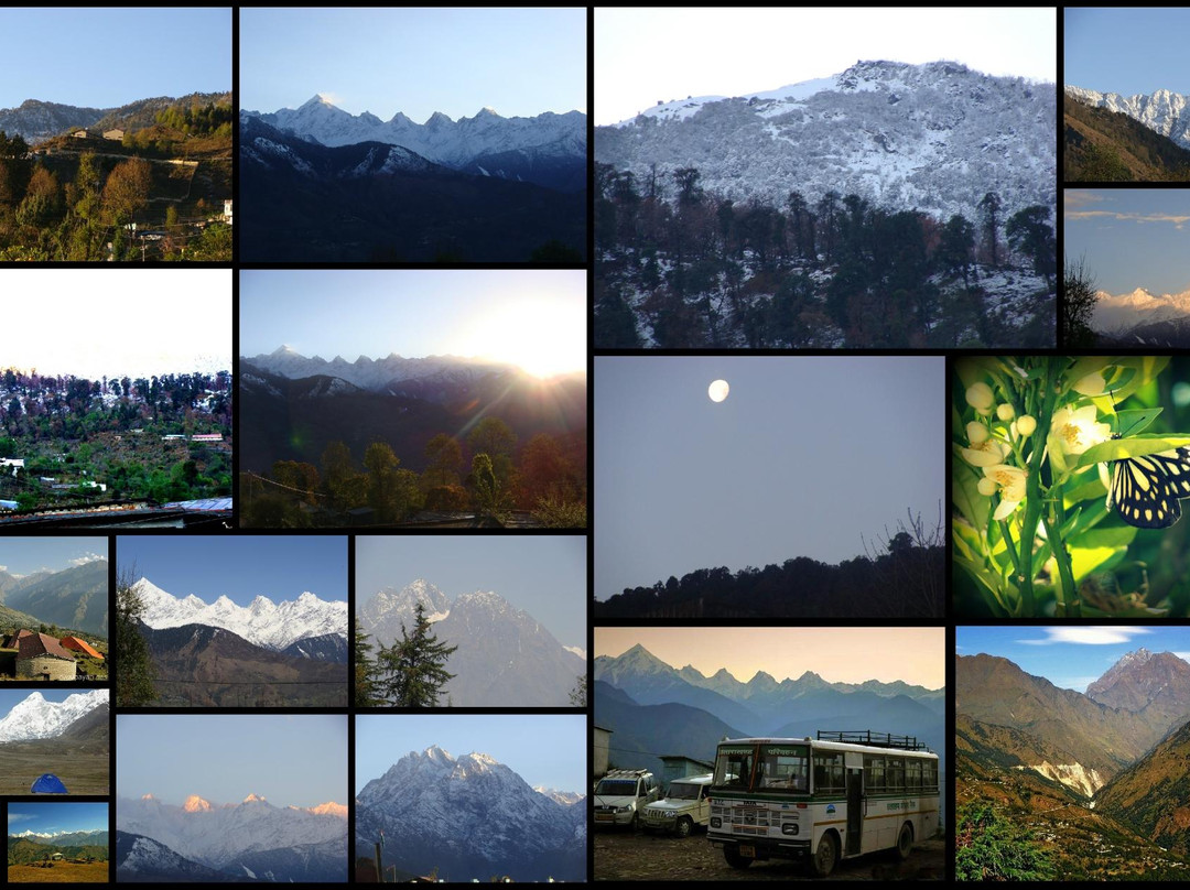 Hayat Paradise Guest House / Hotel主图