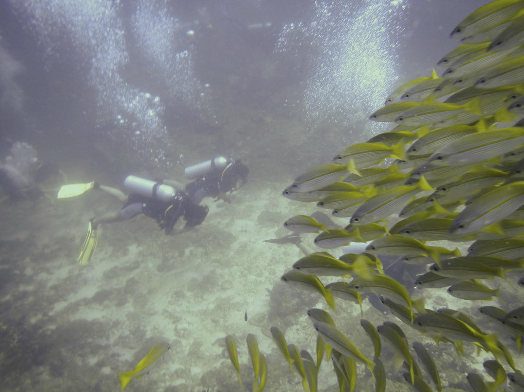 Thailand Dive and Sail-拉克山必去景点