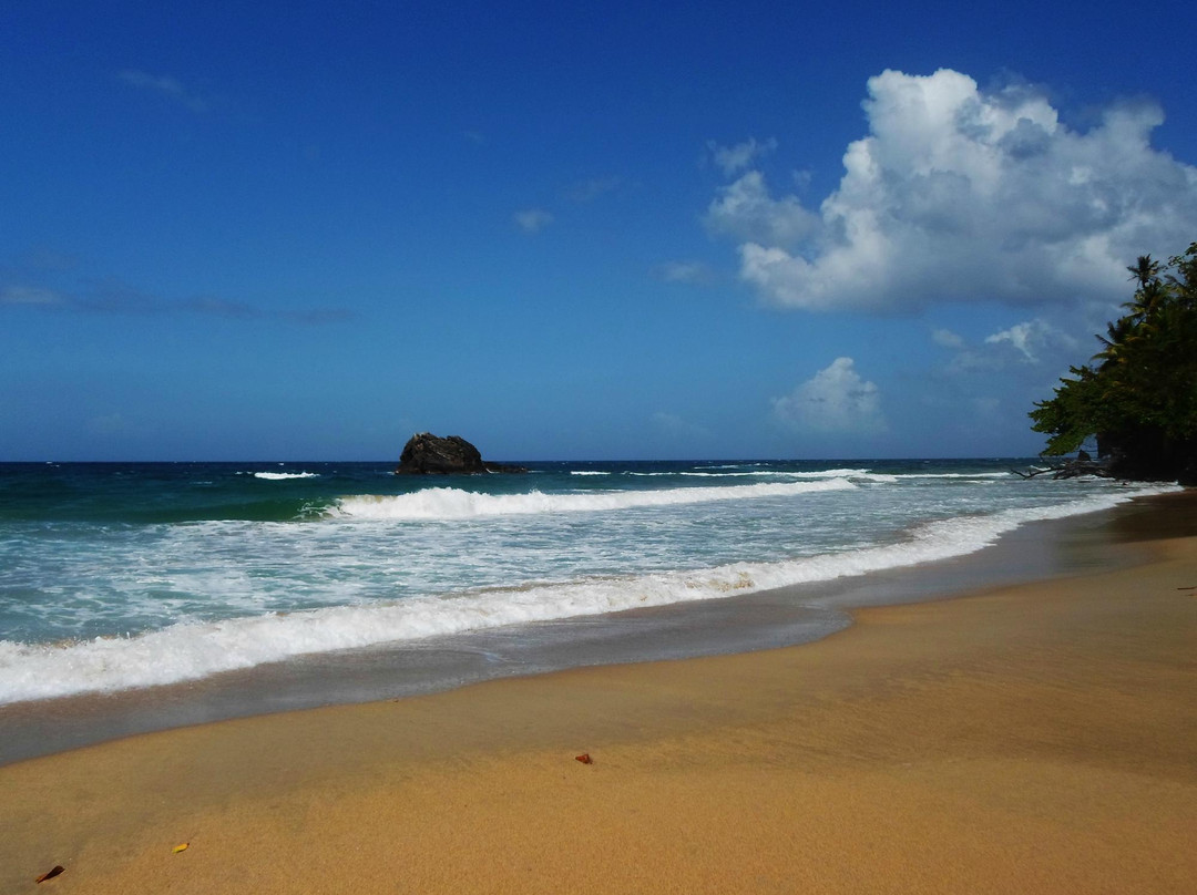 Blanchisseuse Beach-Blanchisseuse必去景点