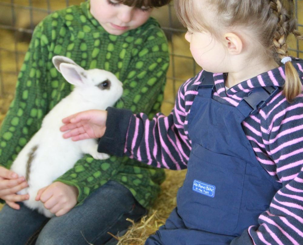 Church Farm - Stow Bardolph-Stow Bardolph必去景点