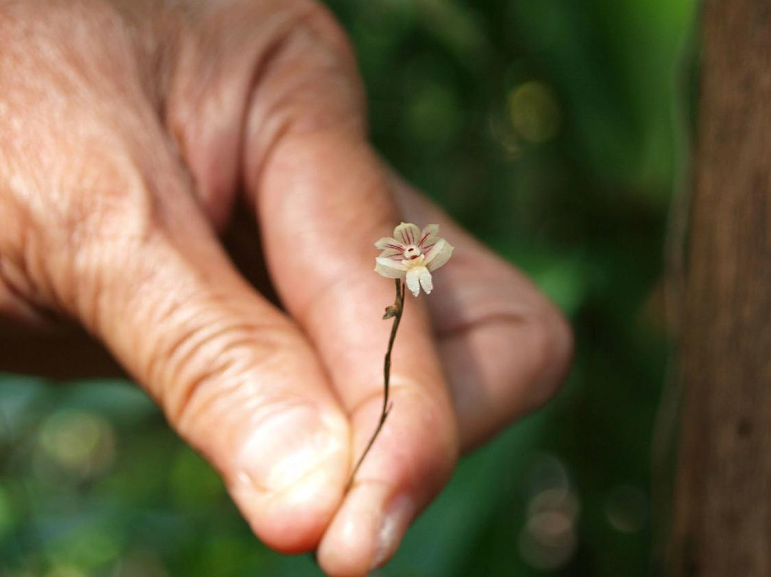 富境花庄-亚庇必去景点
