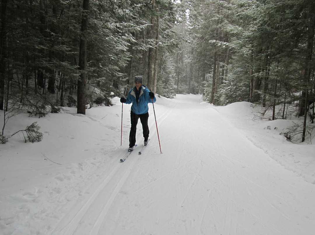 Viking Nordic Center-Londonderry必去景点
