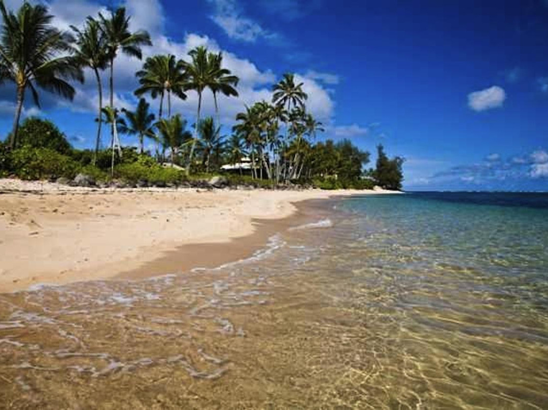 North Shore Bike Rentals-哈雷瓦必去景点