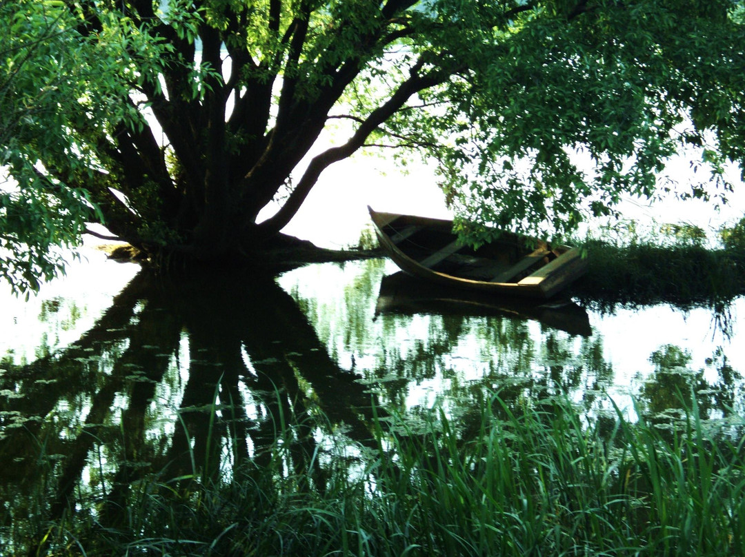 Upo Wetland-昌宁郡必去景点