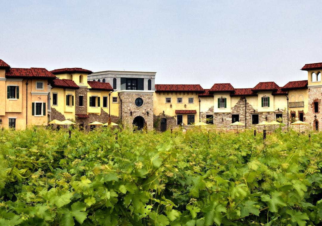 Colaneri Estate Winery-滨湖尼亚加拉必去景点
