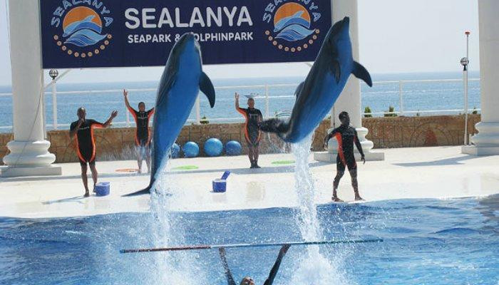 Sealanya Dolphinpark Seapark-蒂尔克莱尔必去景点