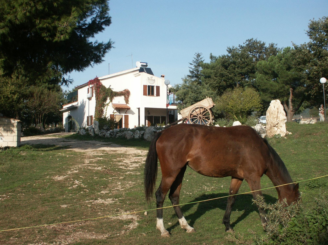 Agriturismo Falcare