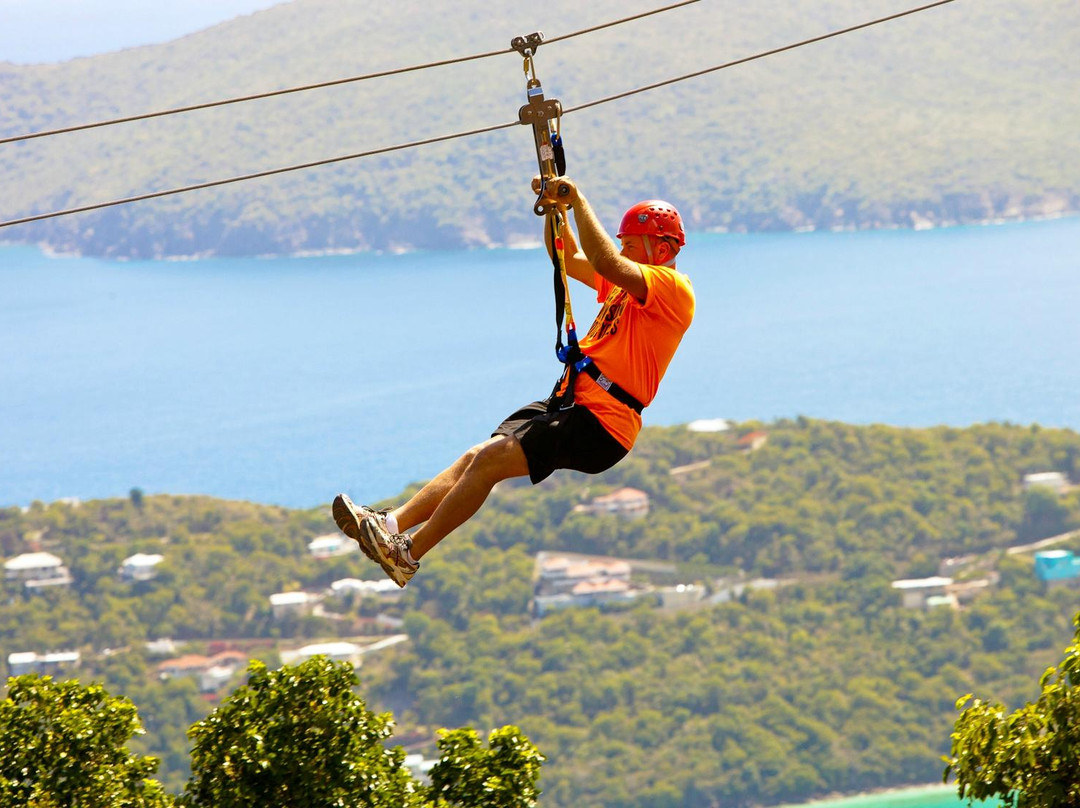 Tree Limin' Extreme Zipline-圣 托马斯必去景点