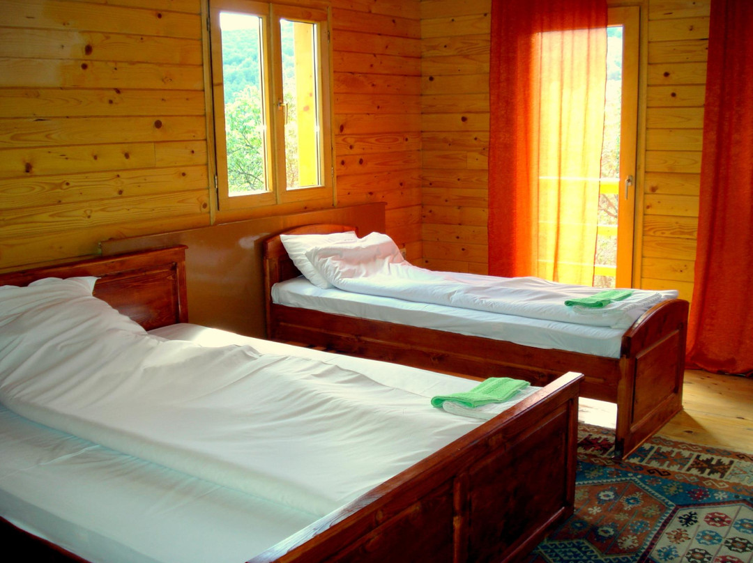 Guest House Bio-Haus主图