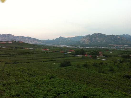 大泽山-平度市必去景点