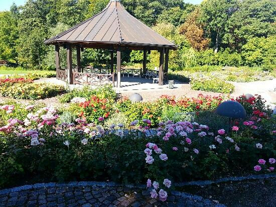Botanischer Garten Augsburg景点图片