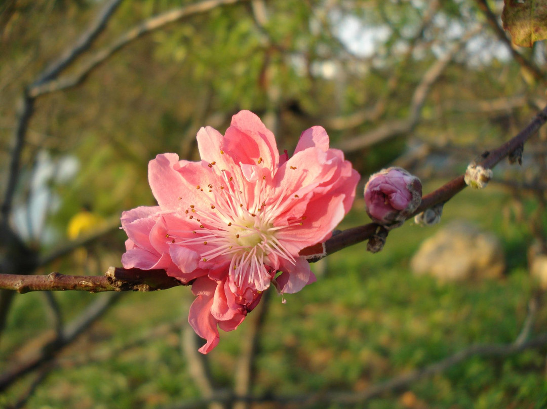松山湖公园-东莞市必去景点