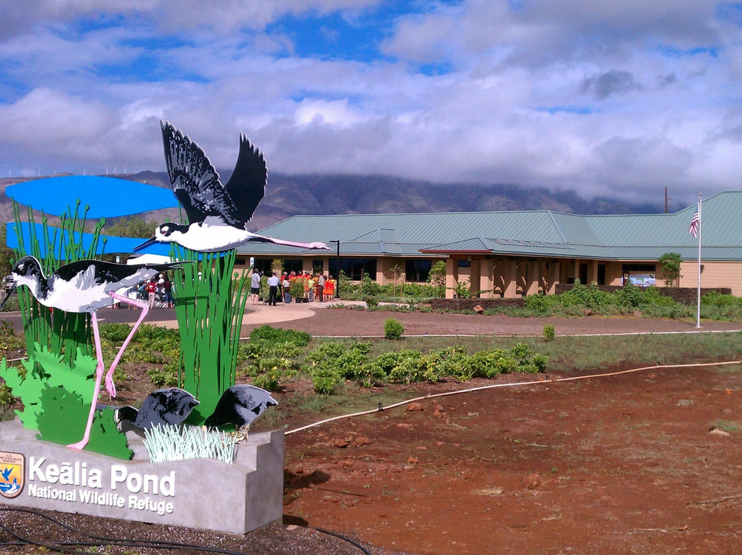 Kealia Pond National Wildlife Refuge-基黑必去景点
