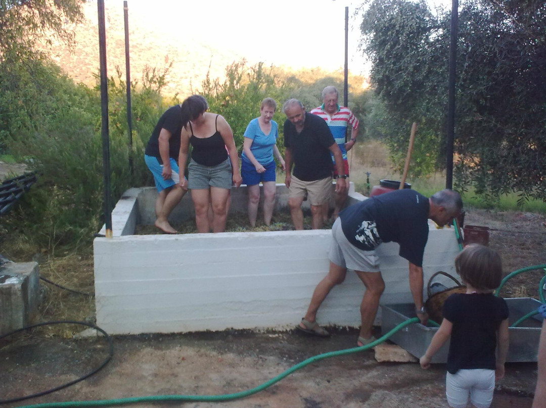 Paradisio Baby & kinder hotel主图